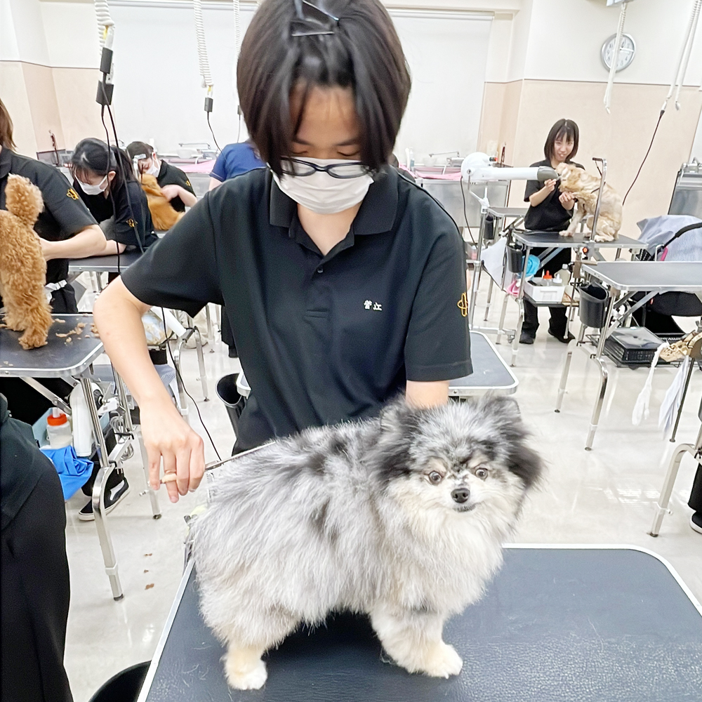 ☆スキルアッププログラム☆